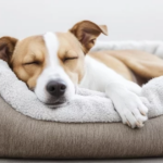 Good Sleep